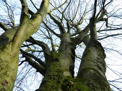 Ernstings_Familiy_28_und_29_11_2011_082 Ernstings_Familiy_28_und_29_11_2011_082